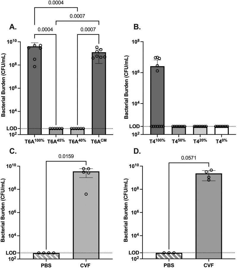 Effects of Capsular Polysaccharide amount on Pneumococcal-Host interactions.