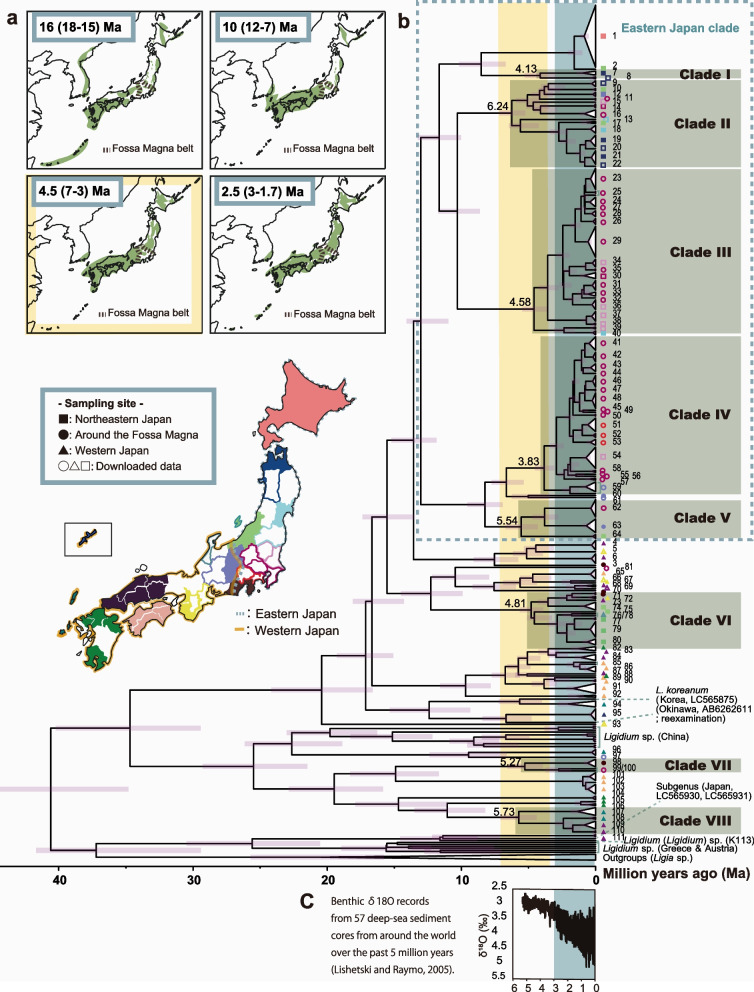 History of the terrestrial isopod genus Ligidium in Japan based on phylogeographic analysis.