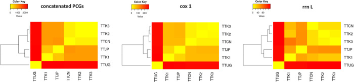 De novo assembled mitogenome analysis of Trichuris trichiura from Korean individuals using nanopore-based long-read sequencing technology.