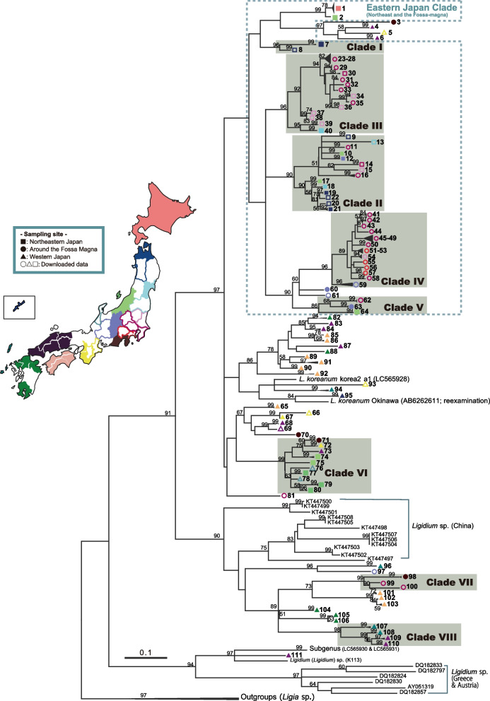 History of the terrestrial isopod genus Ligidium in Japan based on phylogeographic analysis.