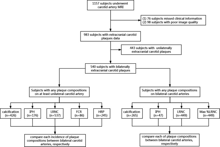 Differences in left and right carotid plaque vulnerability in patients with bilateral carotid plaques: a CARE-II study.