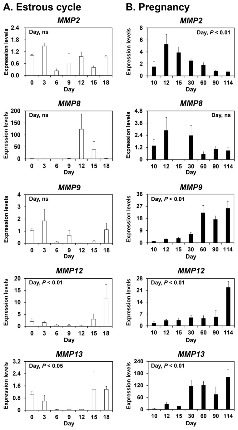 Matrix metalloproteinases: expression and regulation in the endometrium during the estrous cycle and at the maternal-conceptus interface during pregnancy in pigs.