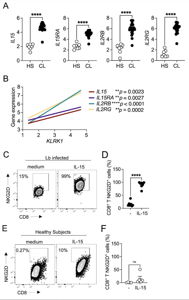 NKG2D promotes CD8 T cell-mediated cytotoxicity and is associated with treatment failure in human cutaneous leishmaniasis.