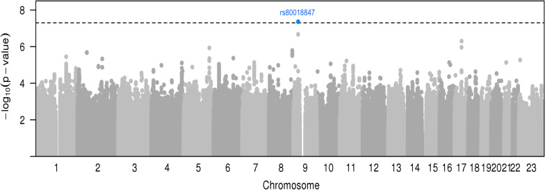 A genome-wide gene-environment interaction study of breast cancer risk for women of European ancestry.