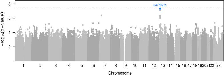 A genome-wide gene-environment interaction study of breast cancer risk for women of European ancestry.