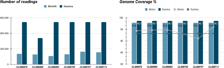 Technical comparison of MinIon and Illumina technologies for genotyping Chikungunya virus in clinical samples