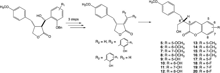 Effect of further substitutions at 5-, 6-, 7-, or 8-position of 3-[3-(4-methoxyphenyl)-1-hydroxyprop-2-yl]coumarin on phytotoxicity.