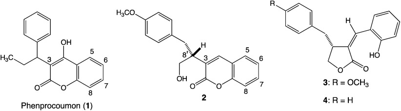 Effect of further substitutions at 5-, 6-, 7-, or 8-position of 3-[3-(4-methoxyphenyl)-1-hydroxyprop-2-yl]coumarin on phytotoxicity.