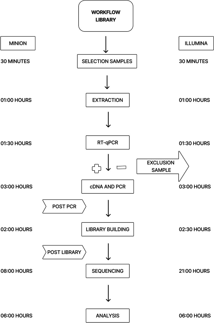 Technical comparison of MinIon and Illumina technologies for genotyping Chikungunya virus in clinical samples