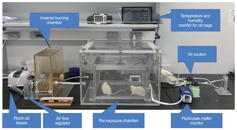 Effects of Particulate Matter Exposure on the Eustachian Tube and Middle Ear Mucosa of Rats.