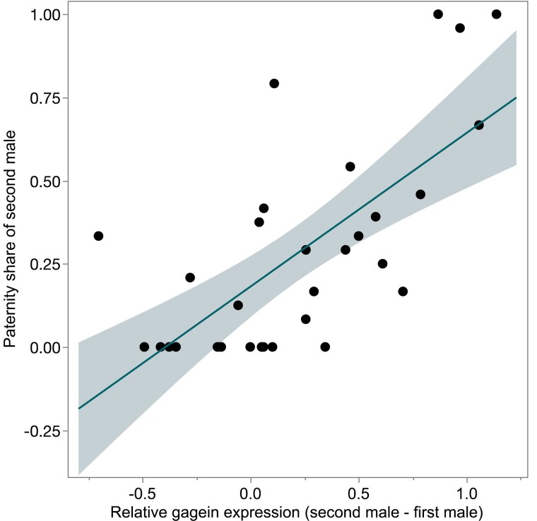 The effect of seminal fluid gene expression on paternity.