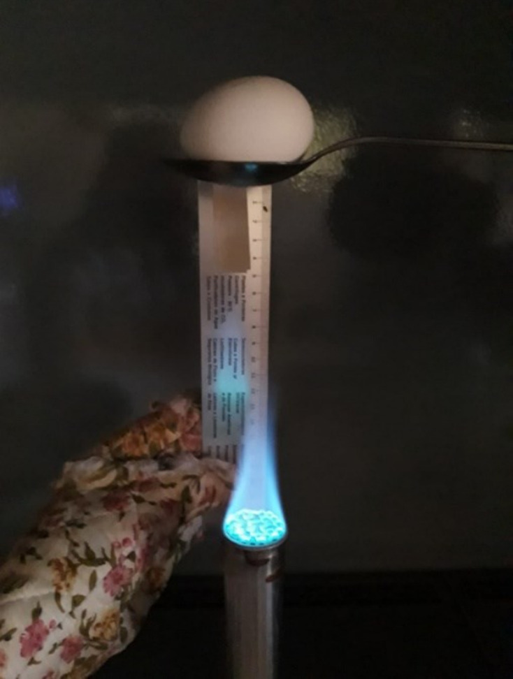 A fast and simple protocol to anaesthesia in chicken embryos.