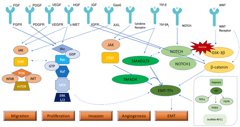 Primary and acquired resistance to first-line therapy for clear cell renal cell carcinoma.