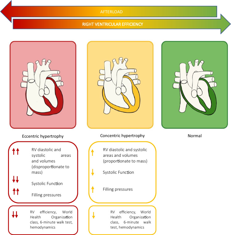 Medical Management of Right Ventricular Dysfunction in Pulmonary Arterial Hypertension.