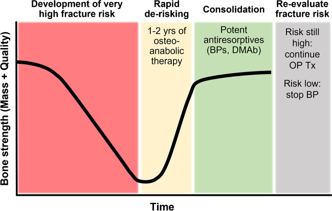 Advances in Osteoporosis Therapy: Focus on Osteoanabolic Agents, Secondary Fracture Prevention, and Perioperative Bone Health.