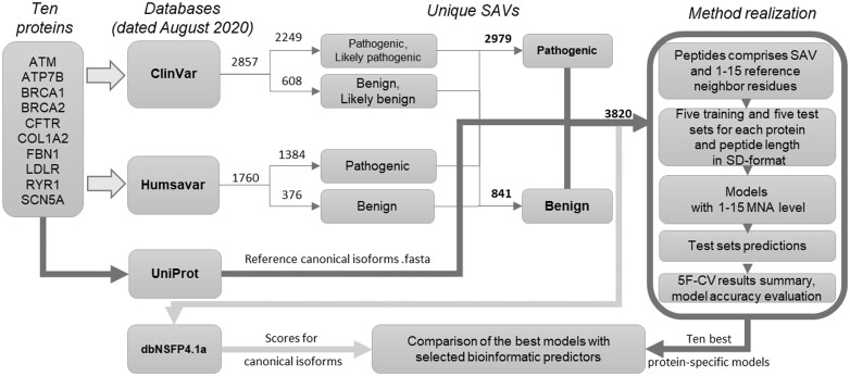 Prediction of pathogenic single amino acid substitutions using molecular fragment descriptors.