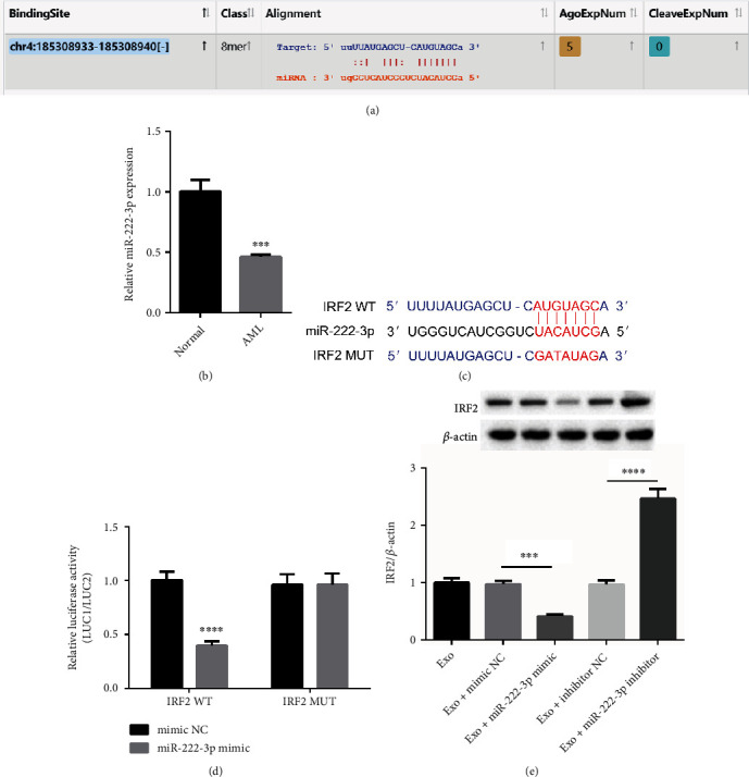 Mesenchymal Stem Cell-Derived Exosomal miRNA-222-3p Increases Th1/Th2 Ratio and Promotes Apoptosis of Acute Myeloid Leukemia Cells.