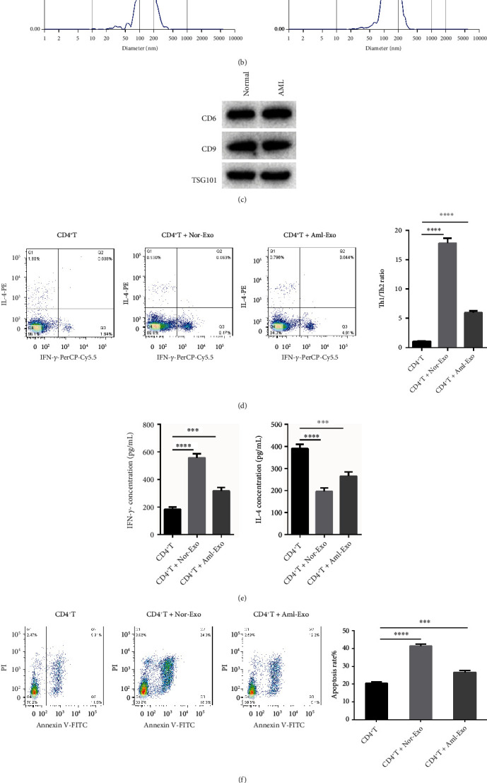 Mesenchymal Stem Cell-Derived Exosomal miRNA-222-3p Increases Th1/Th2 Ratio and Promotes Apoptosis of Acute Myeloid Leukemia Cells.