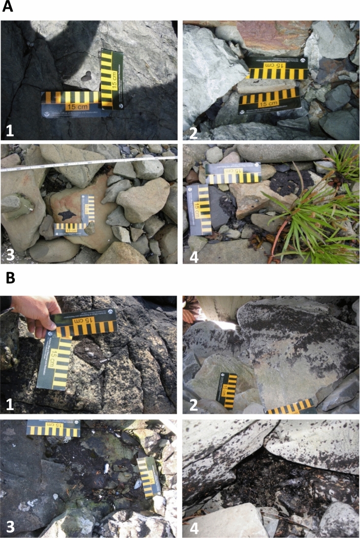 A Quantitative Comparison of Oil Sources on Shorelines of Prince William Sound, Alaska, 17 Years After the Exxon Valdez Oil Spill