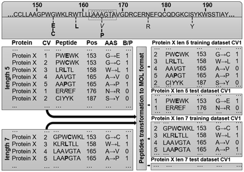 Prediction of pathogenic single amino acid substitutions using molecular fragment descriptors.