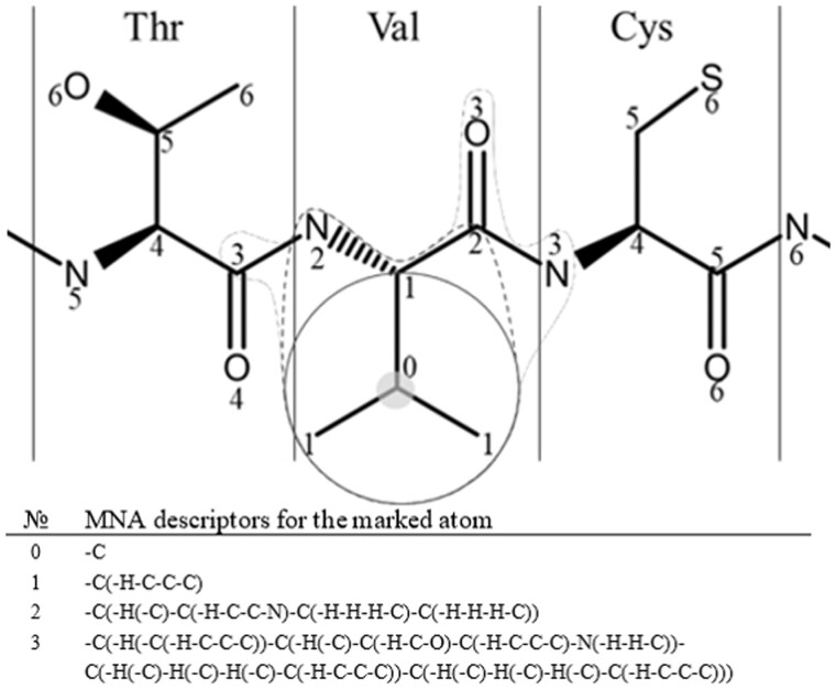 Prediction of pathogenic single amino acid substitutions using molecular fragment descriptors.