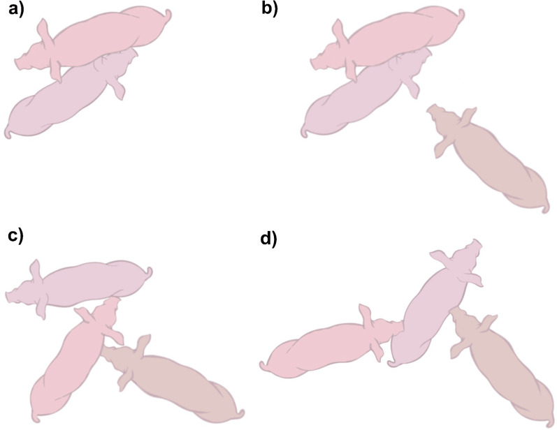 Third-party intervention and post-conflict behaviour in agonistic encounters of pigs (Sus scrofa).