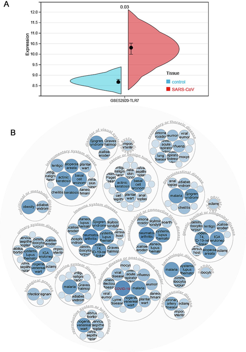 Revealing the roles of TLR7, a nucleic acid sensor for COVID-19 in pan-cancer