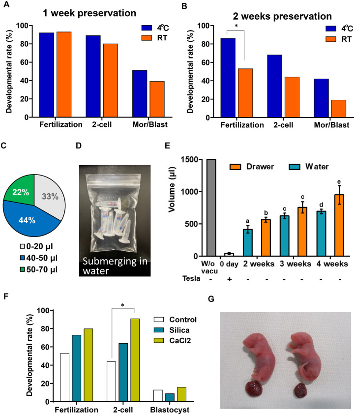 A novel, simplified method to prepare and preserve freeze-dried mouse sperm in plastic microtubes.