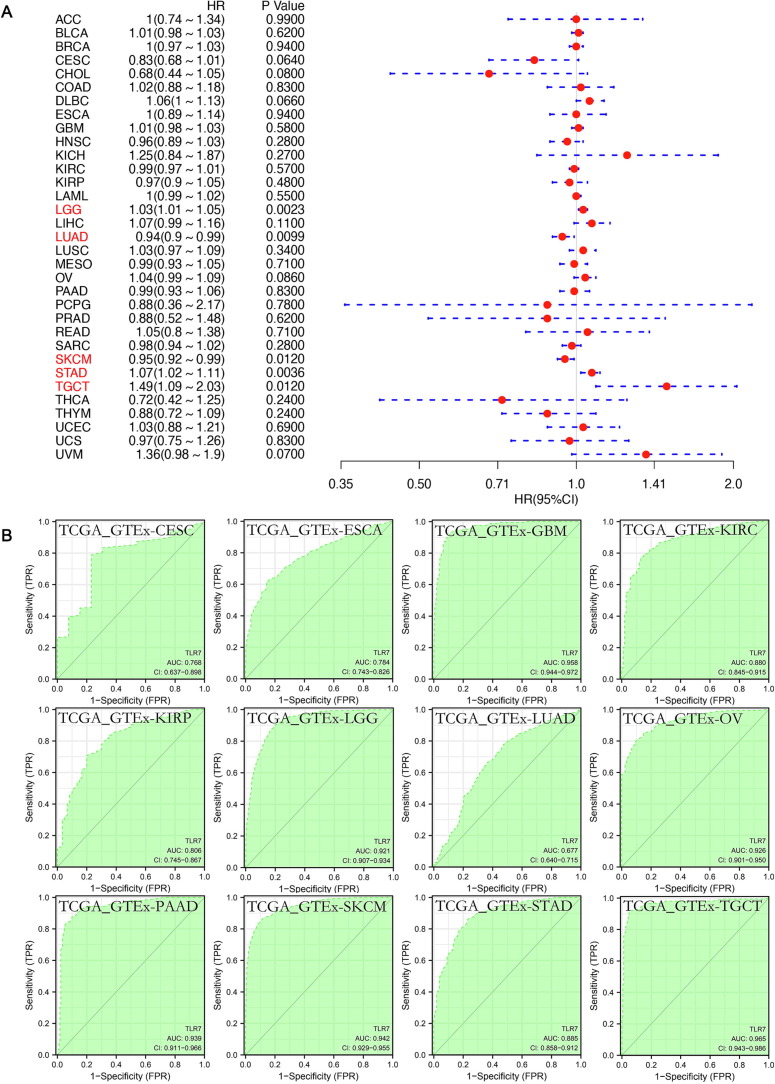 Revealing the roles of TLR7, a nucleic acid sensor for COVID-19 in pan-cancer