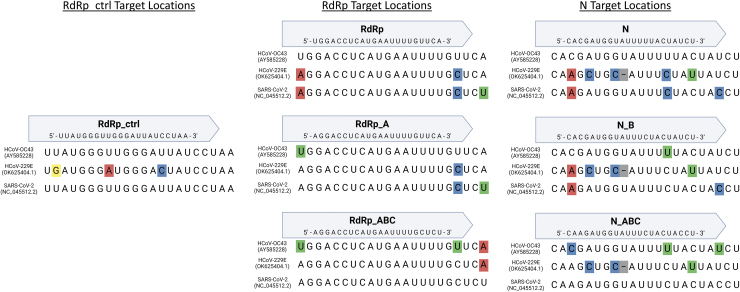 Pan-Coronavirus CRISPR-CasRx Effector System Significantly Reduces Viable Titer in HCoV-OC43, HCoV-229E, and SARS-CoV-2.