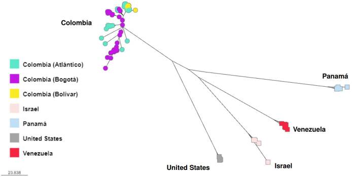 Candida auris: a global pathogen that has taken root in Colombia