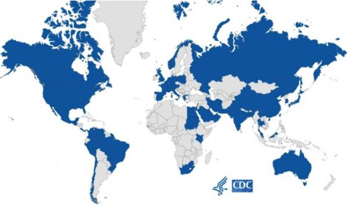 Candida auris: a global pathogen that has taken root in Colombia