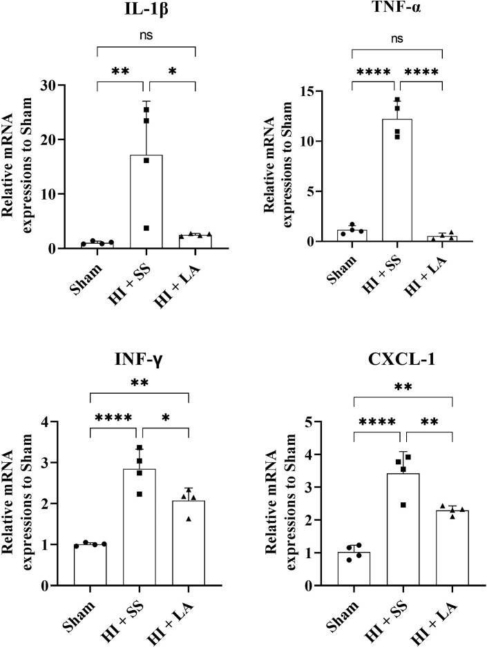 Effect of Leuprolide Acetate, a GnRH Agonist, on Neuroinflammation and Anxiety-Like Behavior after Mild Hypoxic-Ischemic Encephalopathy in Rat Model.