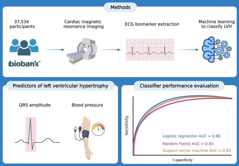 Predicting left ventricular hypertrophy from the 12-lead electrocardiogram in the UK Biobank imaging study using machine learning.