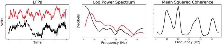 Estimating a brain network predictive of stress and genotype with supervised autoencoders.