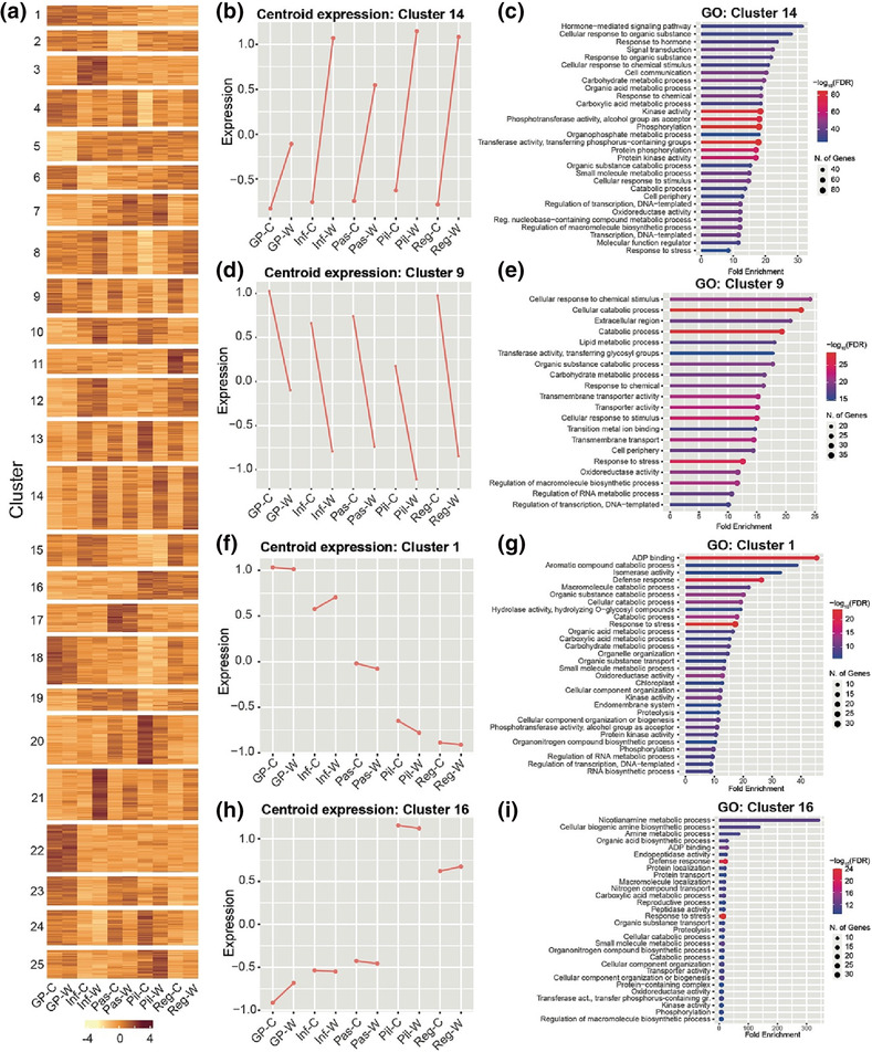 Transcriptional analysis in multiple barley varieties identifies signatures of waterlogging response.