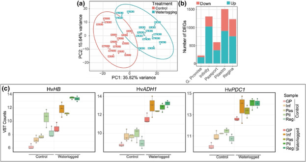 Transcriptional analysis in multiple barley varieties identifies signatures of waterlogging response.