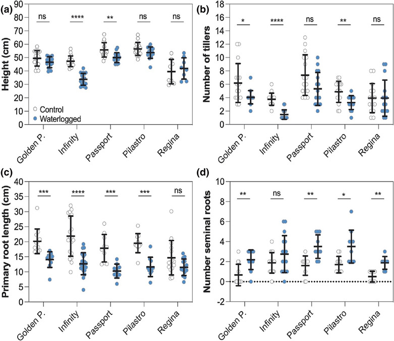 Transcriptional analysis in multiple barley varieties identifies signatures of waterlogging response.