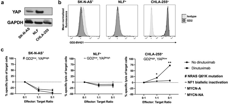 The yes-associated protein (YAP) is associated with resistance to anti-GD2 immunotherapy in neuroblastoma through downregulation of <i>ST8SIA1</i>.