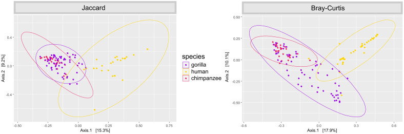 High diversity and sharing of strongylid nematodes in humans and great apes co-habiting an unprotected area in Cameroon.