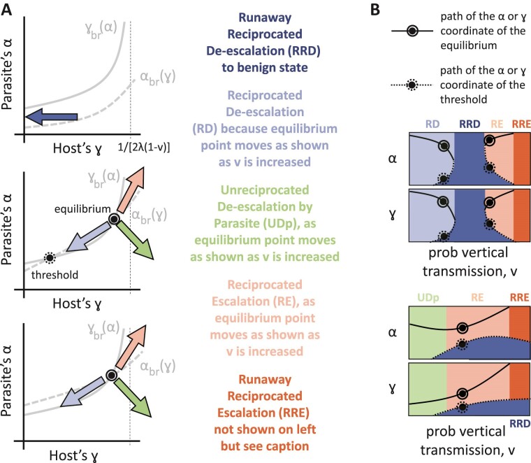 Vertical transmission does not always lead to benign pathogen-host associations.