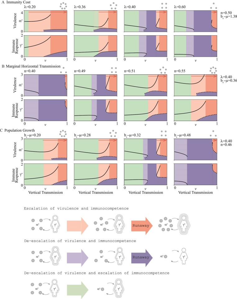 Vertical transmission does not always lead to benign pathogen-host associations.