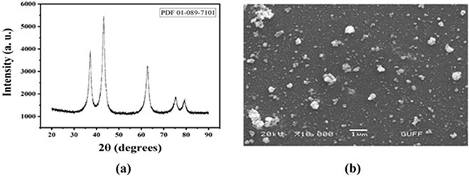 Comparison of nickel oxide nano and microparticles toxicity in rat liver: molecular, biochemical, and histopathological study.