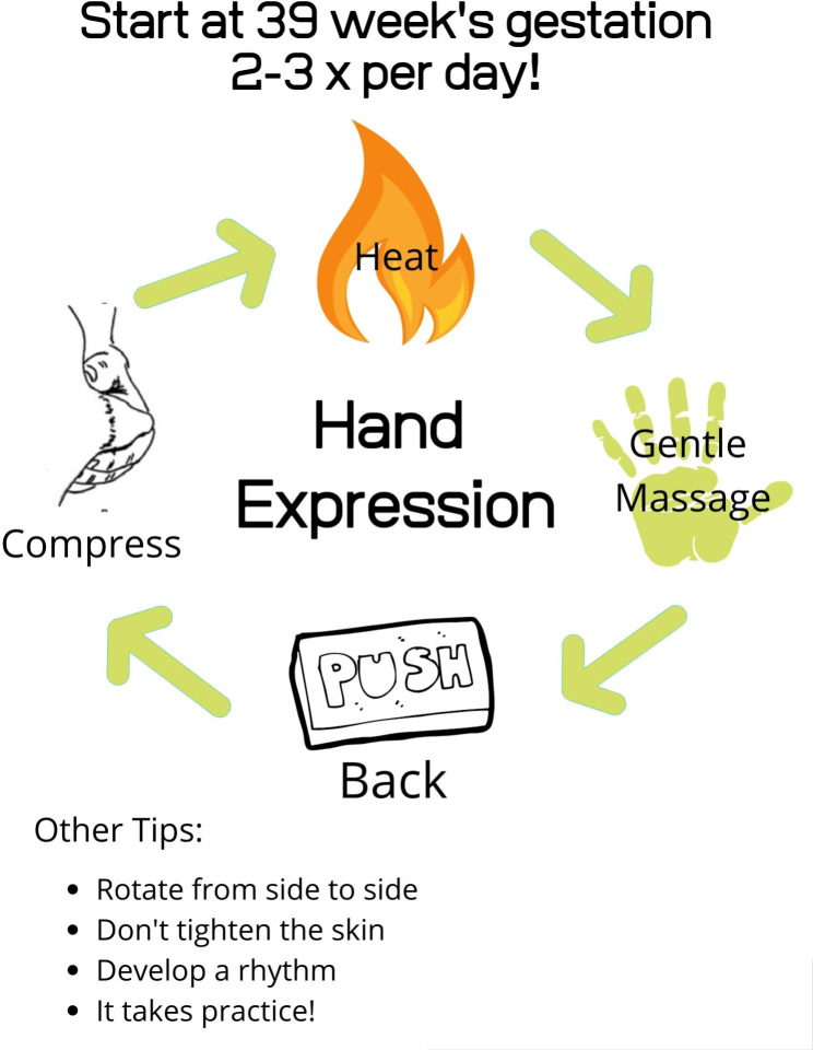 Teaching antenatal hand expression: a feasibility study in an inner urban U.S. hospital.