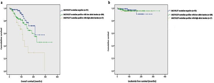 Clinical Impact of <i>JAK2V617F</i> Allele Burden in Philadelphia-Negative Myeloproliferative Neoplasms