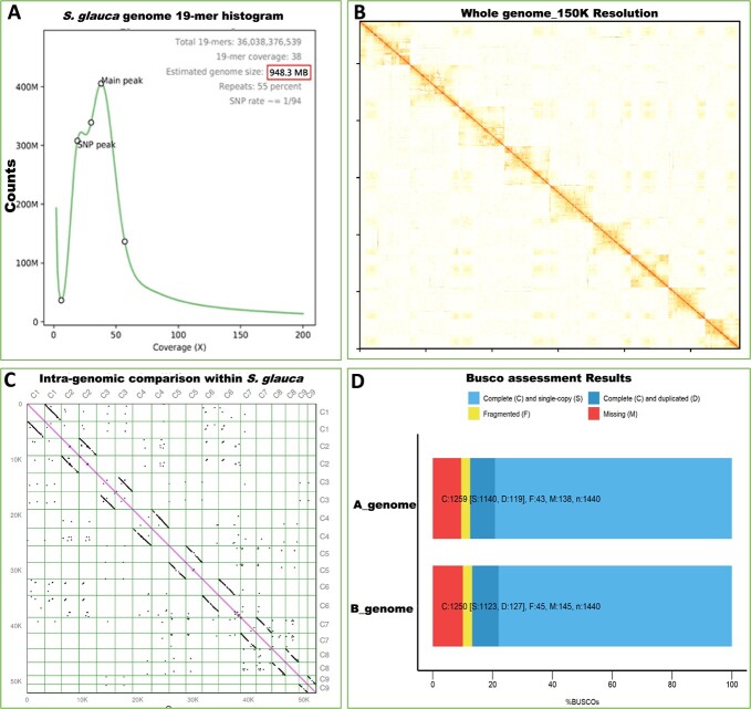 Chromosome-scale genome sequence of <i>Suaeda glauca</i> sheds light on salt stress tolerance in halophytes.