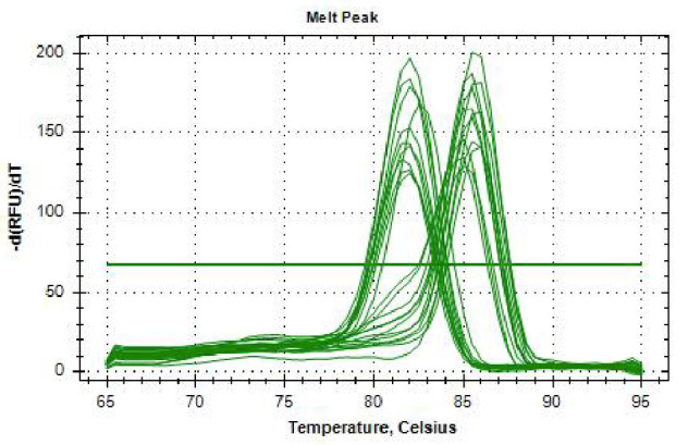 gDNA extraction from Candida albicans and Candida dubliniensis in subgingival samples in Argentina. Evaluation of different methods.