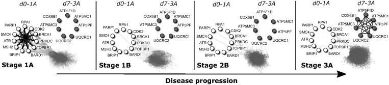 USNAP: fast unique dense region detection and its application to lung cancer.