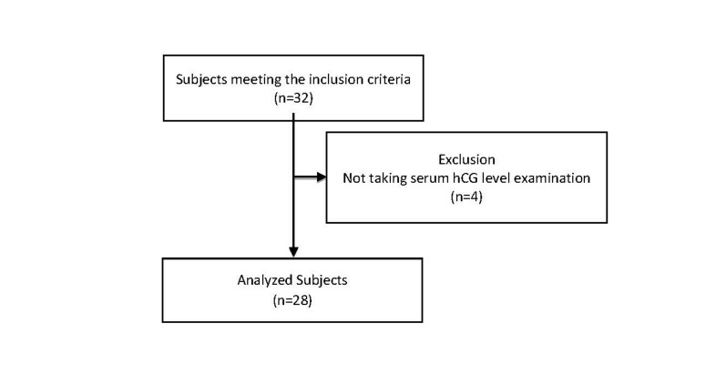 Twelve Hours Post-Injection Serum Human Chorionic Gonadotropin and Body Mass Index Predicts <i>In Vitro</i> Fertilization Oocyte Maturation Rate: A Cross-Sectional Study.