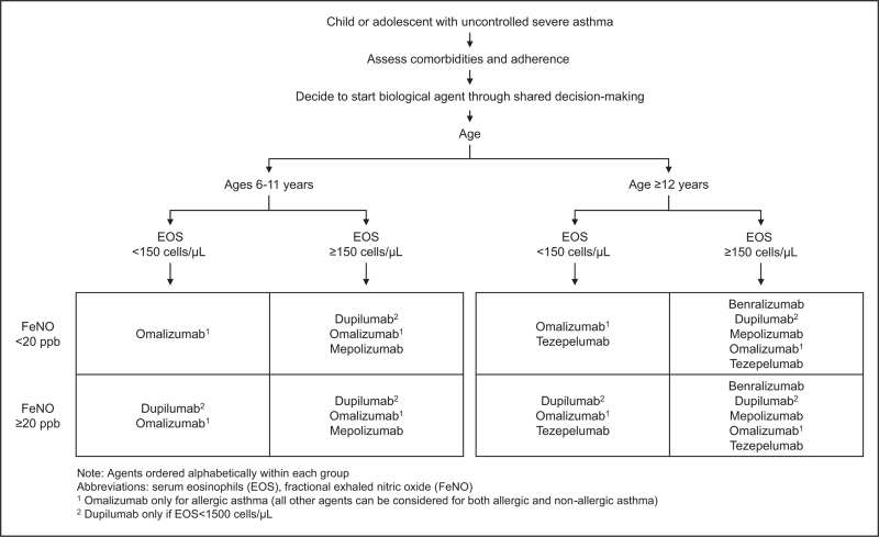 New approaches in childhood asthma treatment.